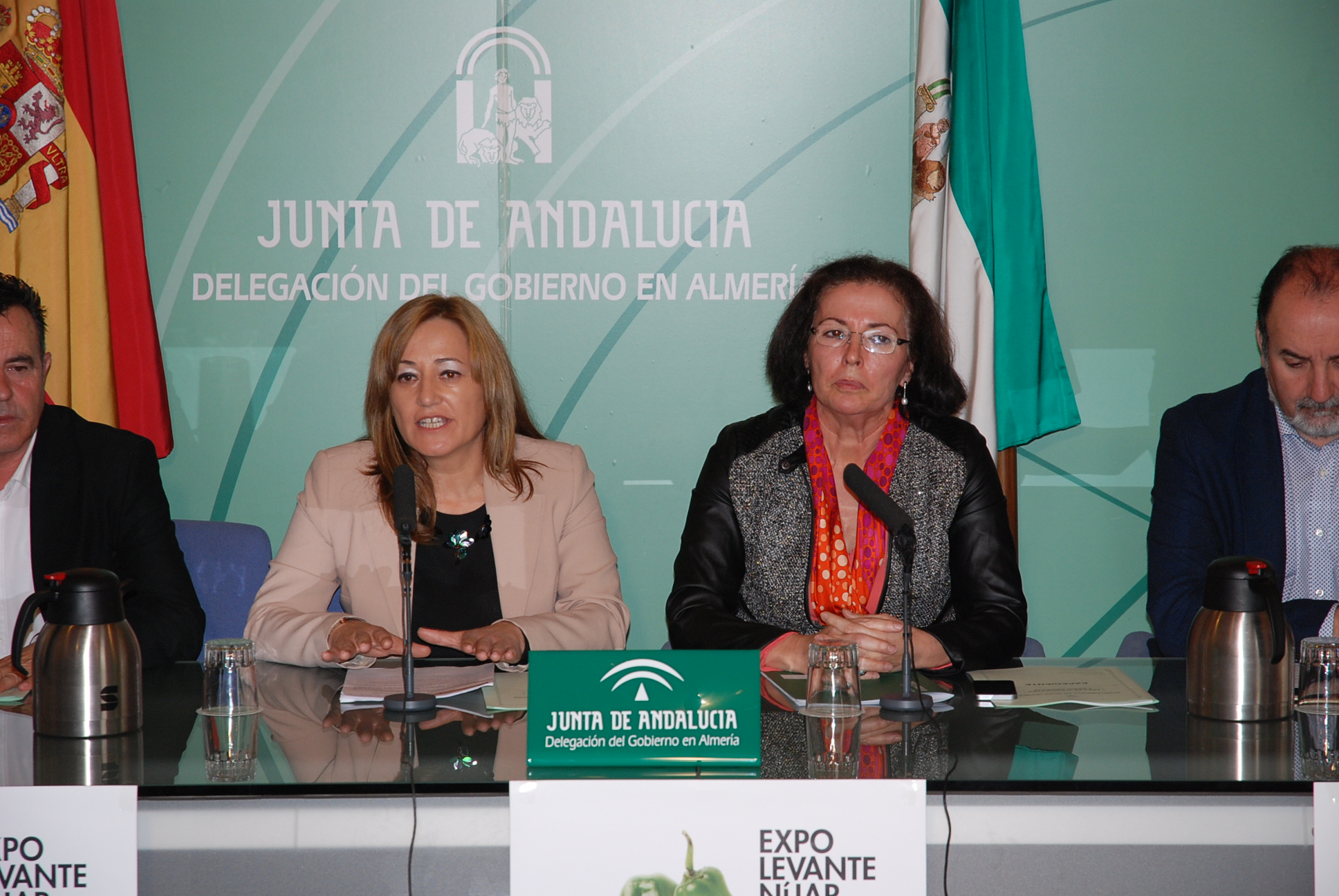 Ver imagen